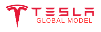 Tesla Global Model